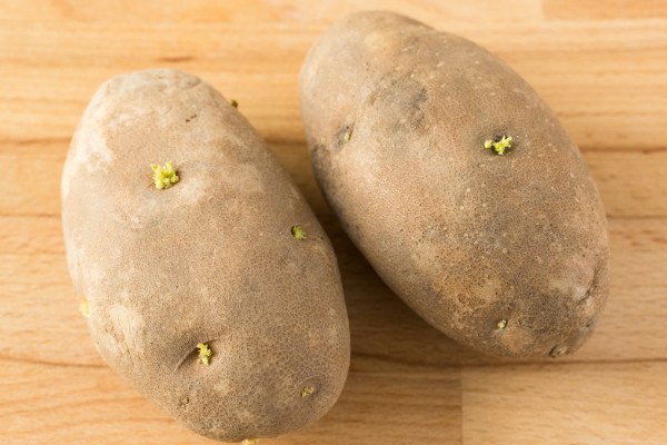 土豆有芽眼算发芽吗