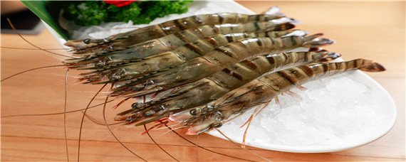 淡水基围虾养殖条件