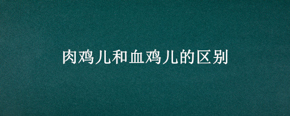 肉鸡儿和血鸡儿的区别