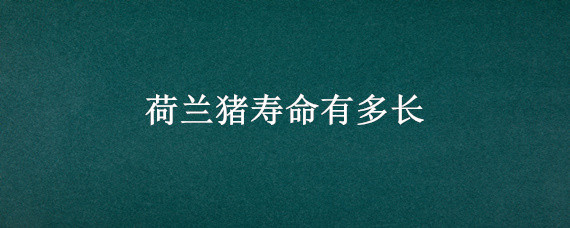 荷兰猪寿命有多长