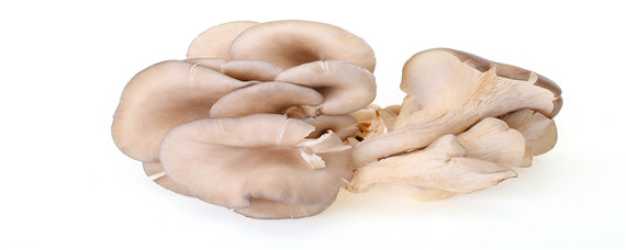 种植平菇的配料方法
