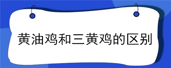 黄油鸡和三黄鸡的区别