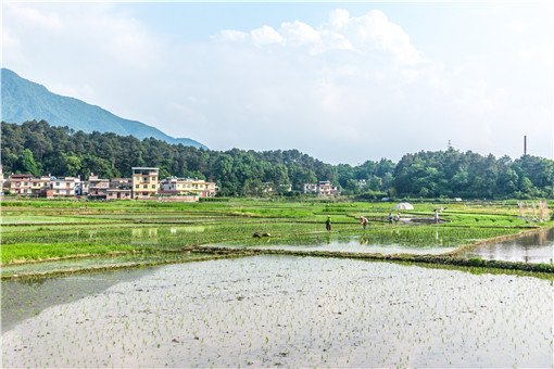 2021各地村干部换届选举时间！各省时间是几月？候选人条件有哪些