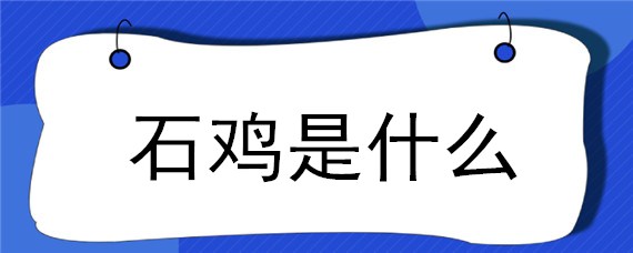 石鸡是什么