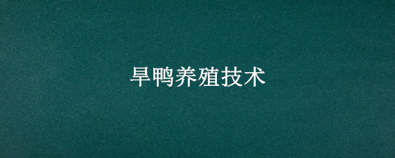 旱鸭养殖技术