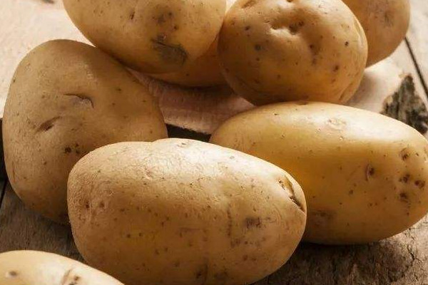 土豆有种子吗