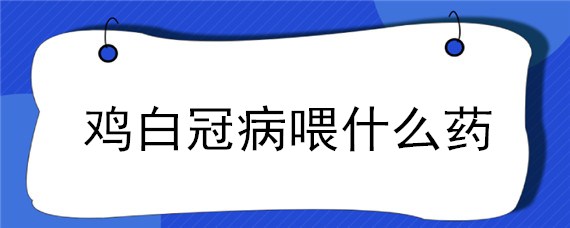 鸡白冠病喂什么药