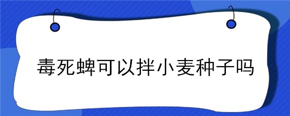 毒死蜱可以拌小麦种子吗