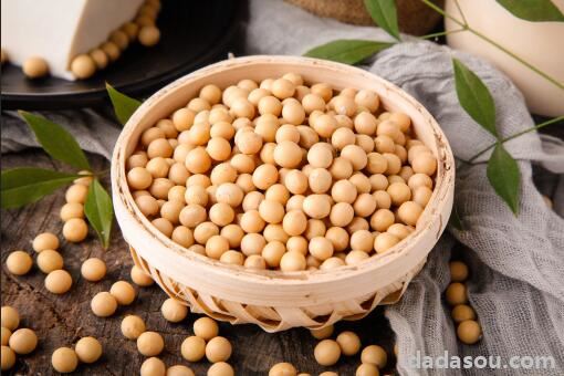 中国为什么要大量进口大豆，我国大豆的现状，经常吃大豆的好处