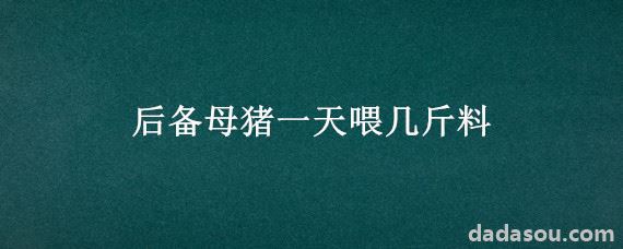 后备母猪一天喂几斤料