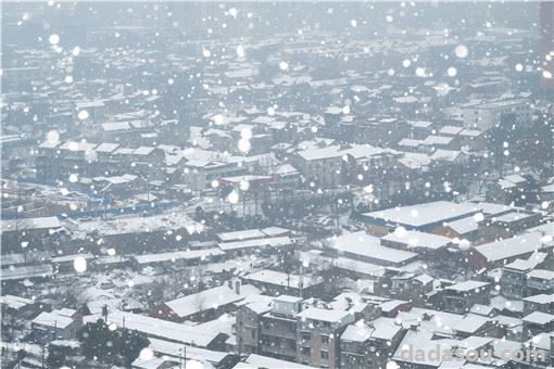 黑龙江连发20个暴雪预警