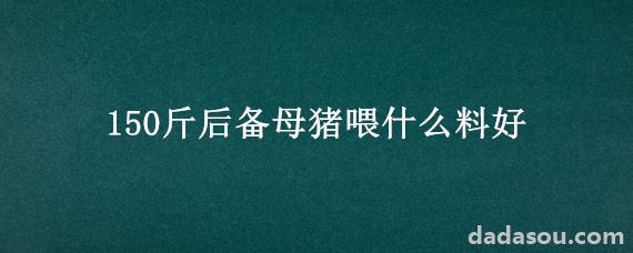 150斤后备母猪喂什么料好