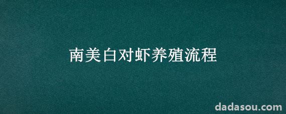 南美白对虾养殖流程