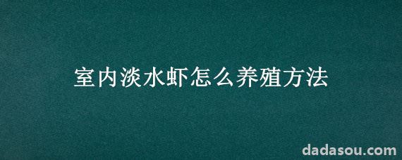 室内淡水虾怎么养殖方法