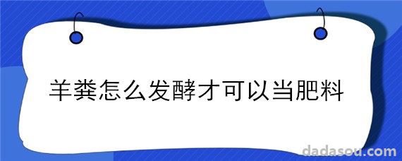 羊粪怎么发酵才可以当肥料