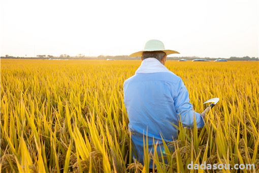 2021年村干部待遇新政策