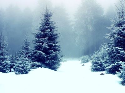 关于立冬节气的诗词有哪些？