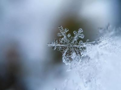 关于小雪节气的诗词有哪些？