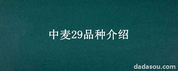 中麦29品种介绍