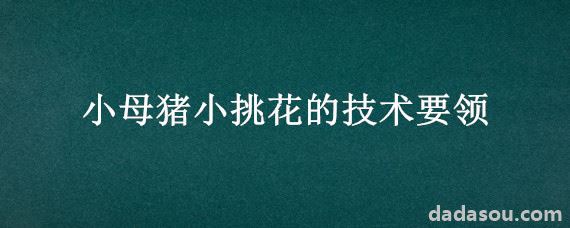 小母猪小挑花的技术要领