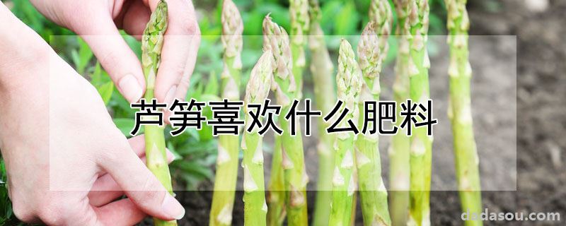 芦笋喜欢什么肥料