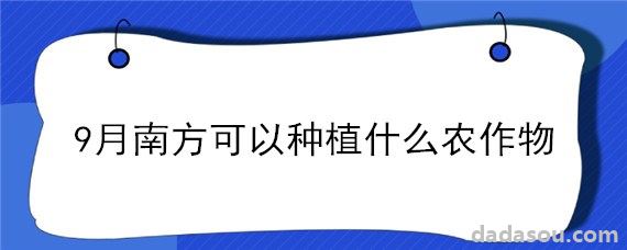 9月南方可以种植什么农作物