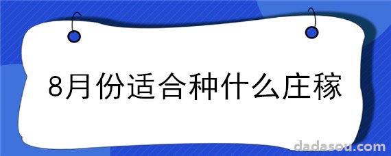 8月份适合种什么庄稼