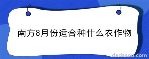 南方8月份适合种什么农作物