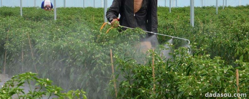 农药苦参碱的杀虫范围，能与其他农药混合吗