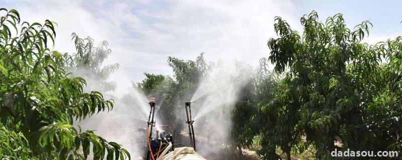 打药几小时内不能下雨,一般用多大压力