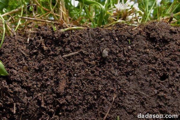 土壤孔隙有哪三种类型