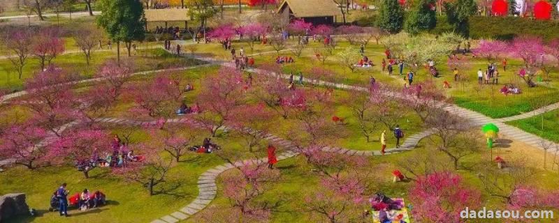休闲度假<a href=https://www.dadasou.com/ny/ target=_blank class=infotextkey>农业</a>包括,需要满足的条件有哪些