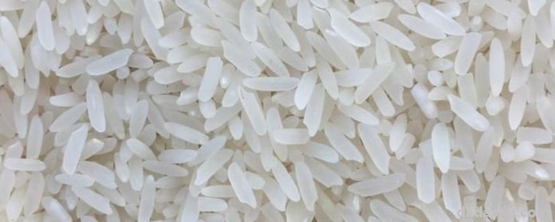 野香优莉丝大米的特点,米是水稻种子的哪一部分