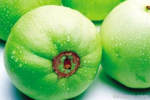 大棚种植香瓜怎么授粉