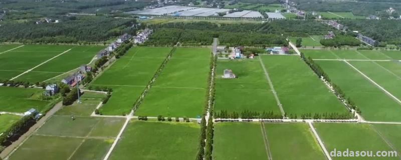 怎么确定是基本农田,一般农用地和基本农田有什么区别