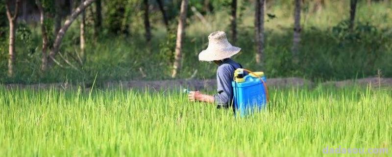 来施净作用,附使用方法