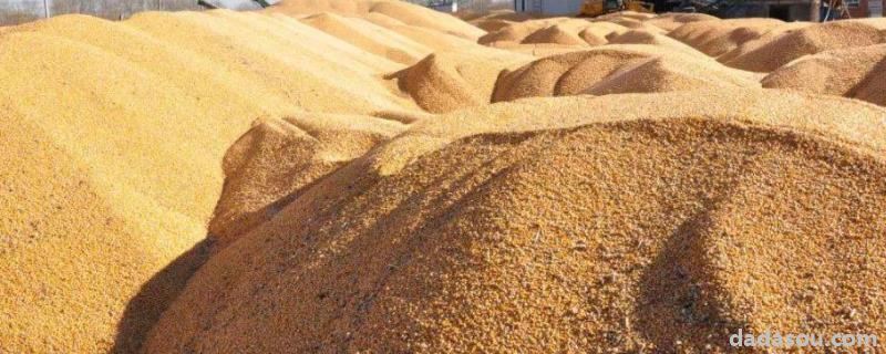 粮食地补什么时候下来,粮食防虫用什么药