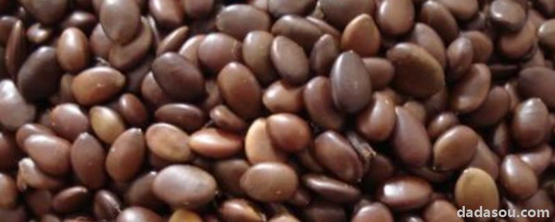 <a href=https://www.dadasou.com/news/138579.html target=_blank class=infotextkey>中国</a>的粮食种子来源,中国粮食进口比例