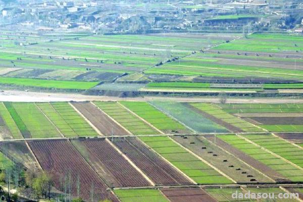 高标准农田建设项目是什么意思