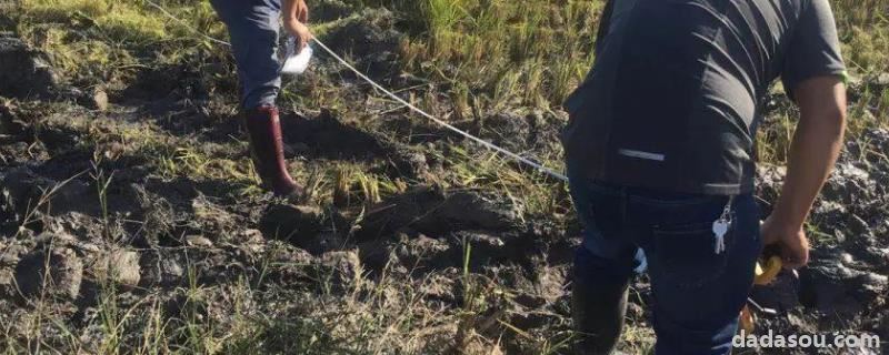 一亩地怎么算出来长宽,一头宽一头窄怎么算亩数