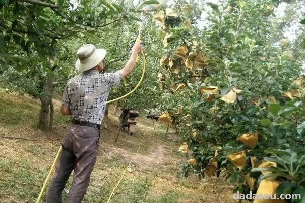 秋天农民做什么农活