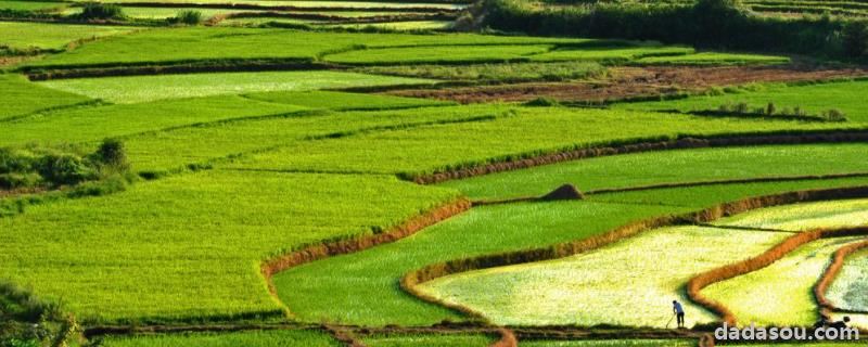 高标准农田建设的内容,高标准农田建设的目的和意义