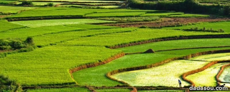 高标准农田建设的内容，高标准农田建设的目的和意义