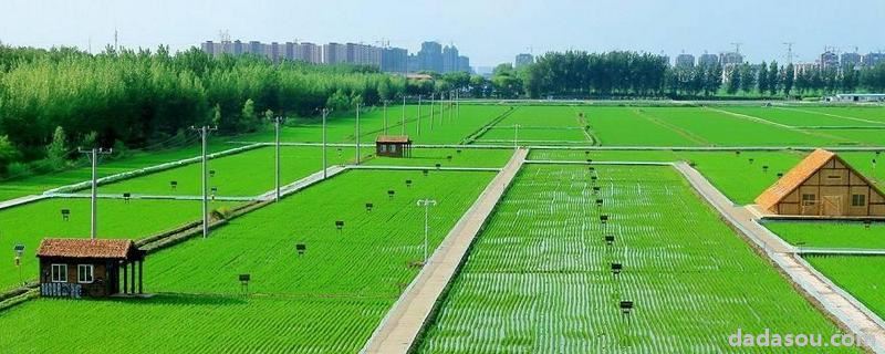 生态<a href=https://www.dadasou.com/ny/ target=_blank class=infotextkey>农业</a>设计的类型包括,现代农业按什么安排生产