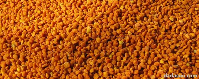 花粉怎样喂蜜蜂，花粉怎样消毒
