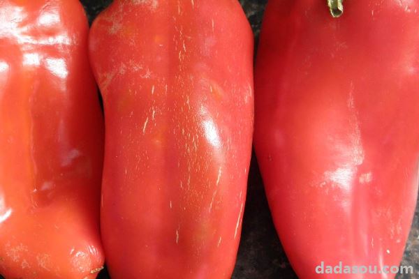 青椒和红椒的区别
