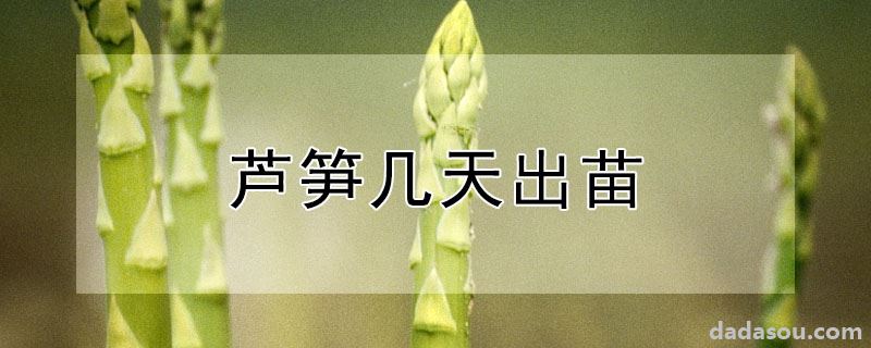 芦笋几天出苗