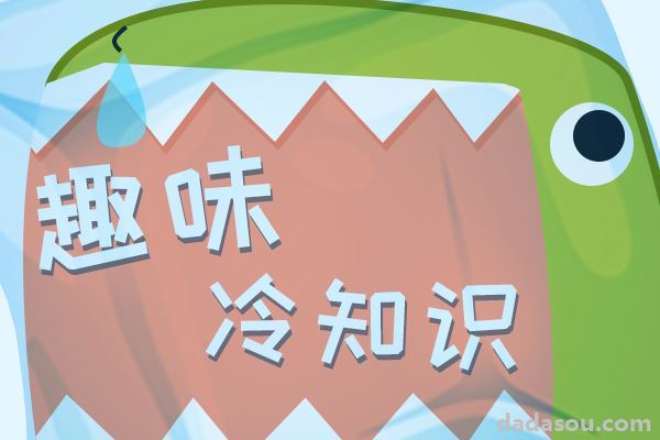 什么叫“直觉”？其实就是直接察觉真相的能力