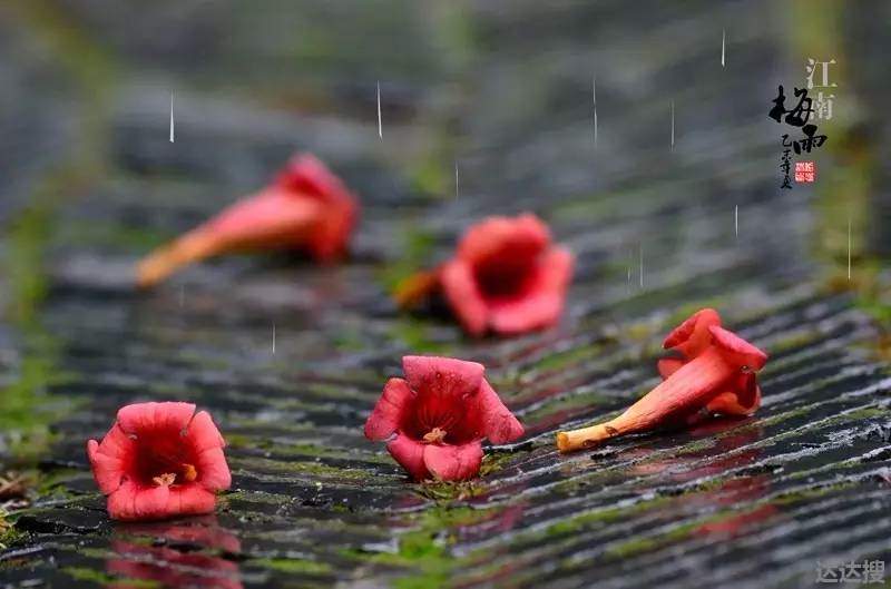 梅雨季节下雨天晚上要开窗吗 梅雨季节不在家要开窗吗