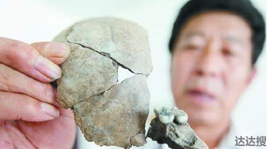 江苏油田发现6000万岁鱼化石1